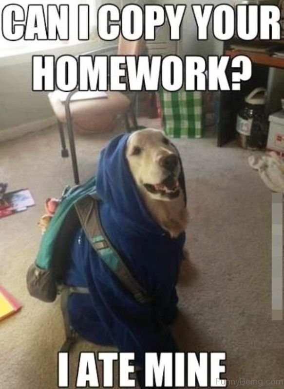 The homework for me