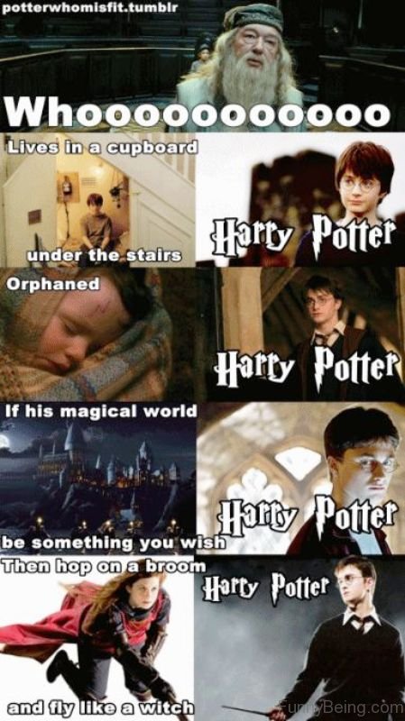 52 Top Harry Potter Memes