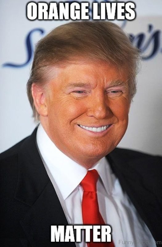 80 Best Donald Trump Memes