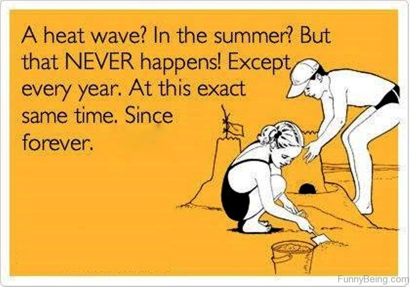 90 Best Summer Memes