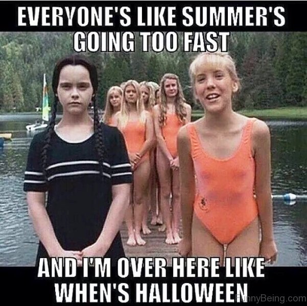 90 Best Summer Memes