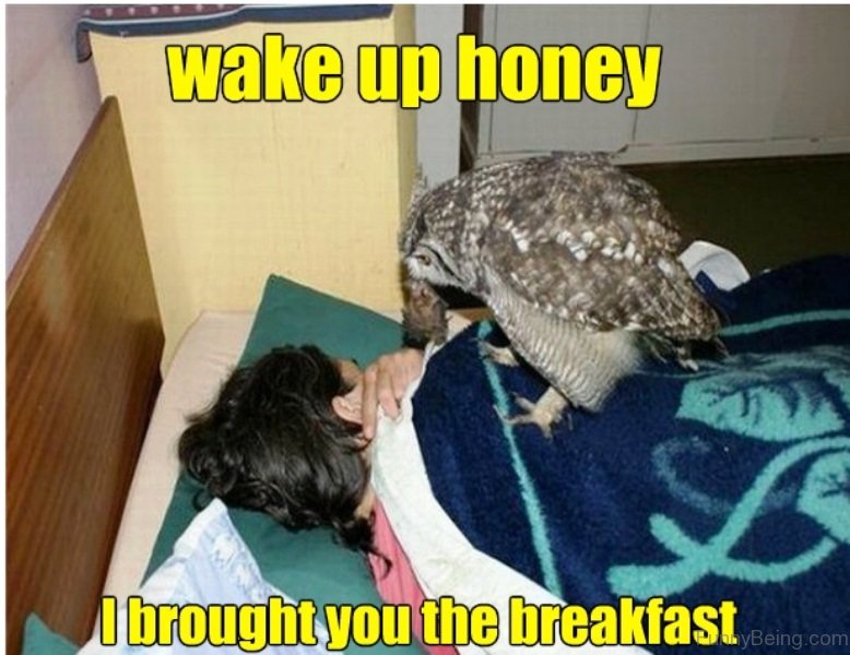 70 Funniest Good Morning Memes