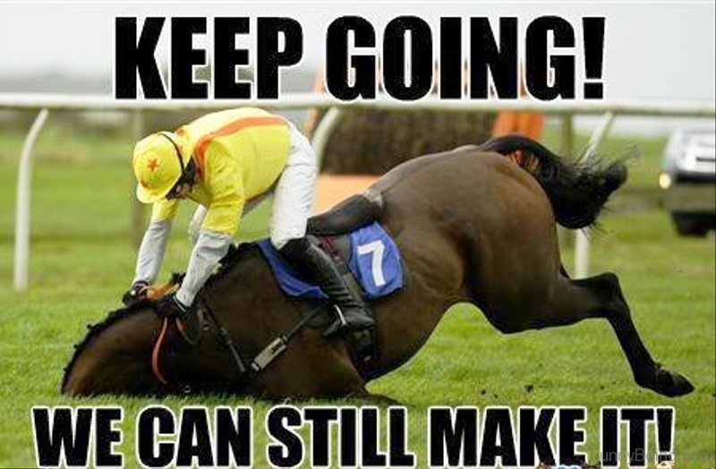 80 Super Funny Horse Memes