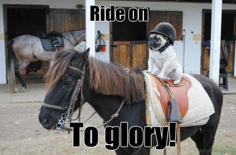 Ride-On-To-Glory.jpg