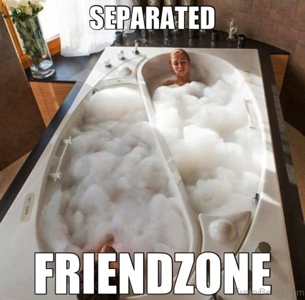 66 Friendzone Memes For You