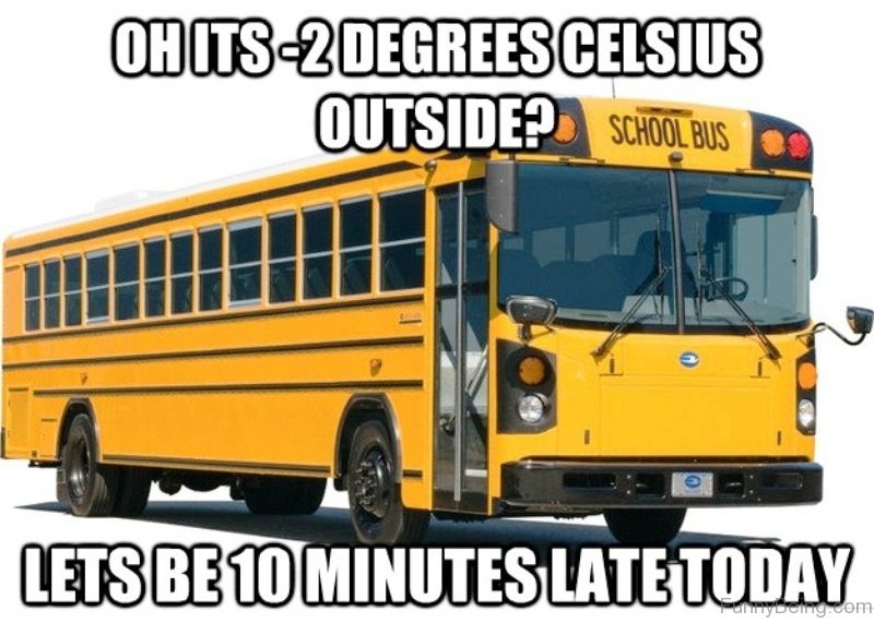 15 Best Bus Memes For You