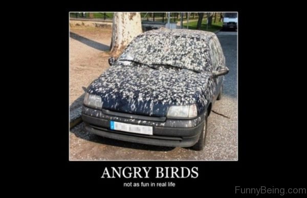 Angry Birds