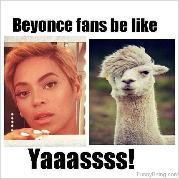 Beyonce Fans Be Like