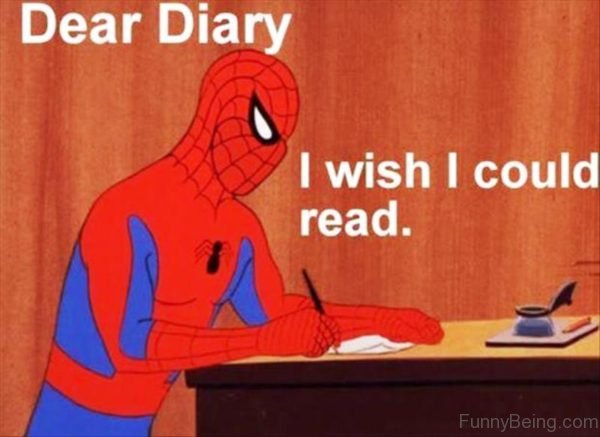 Dear Diary I Wish