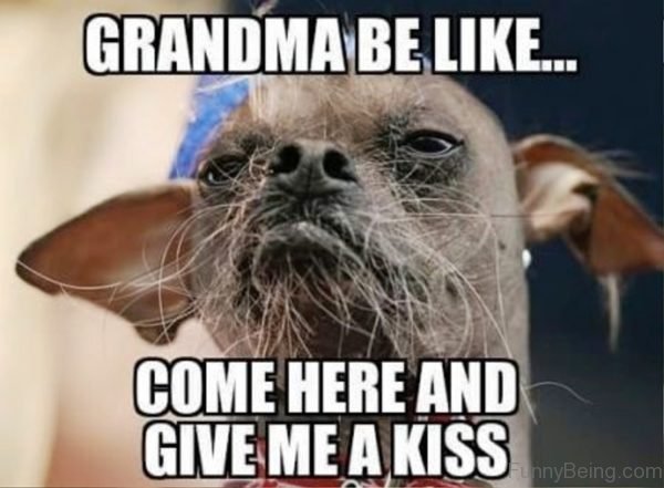 Grandma Be Like