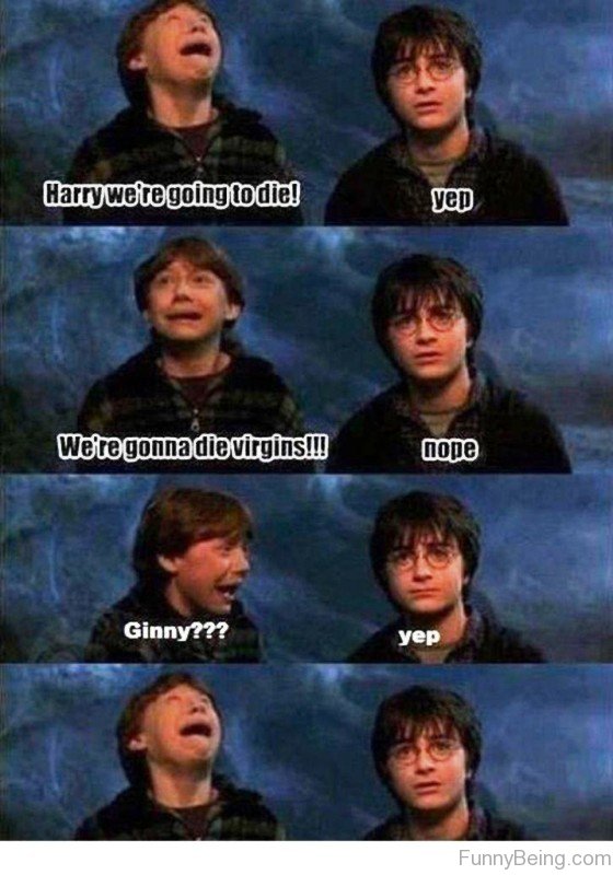 52 Top Harry Potter Memes