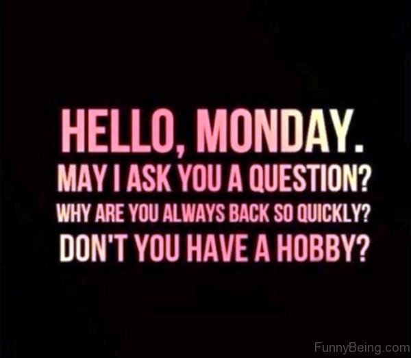 Hello Monday