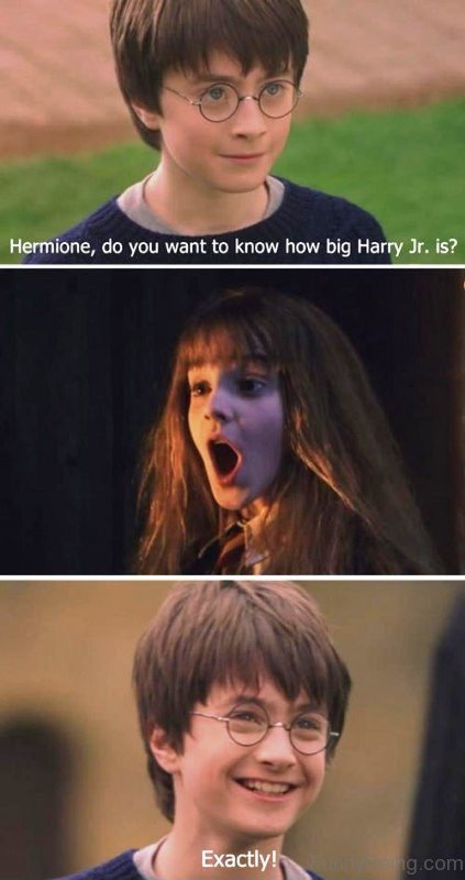Hermione, Do You Want To Know