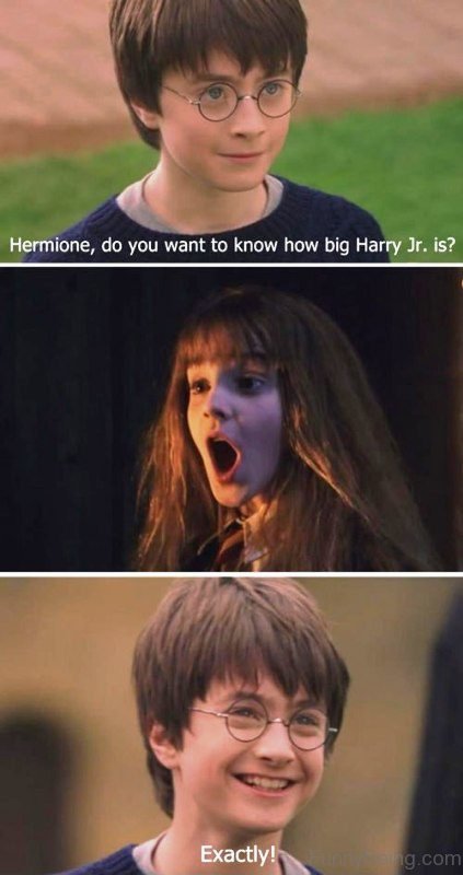 Harry Potter Hermione Memes