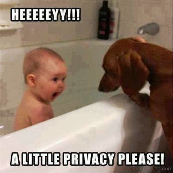 Hey, A Little Privacy Please