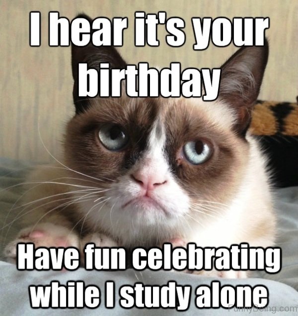 Funny Cat Birthday Card; “I heard it's your birthday”