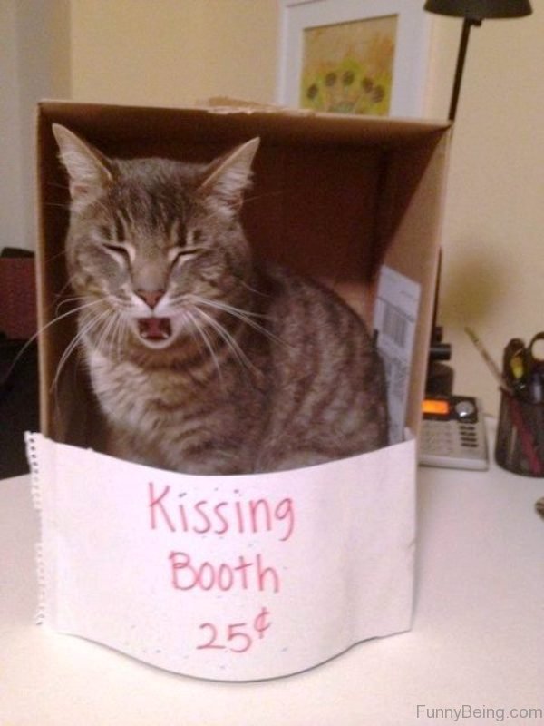 Kissing Booth