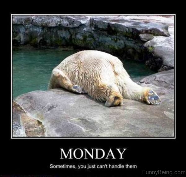 Monday Sometimes You Just Can't