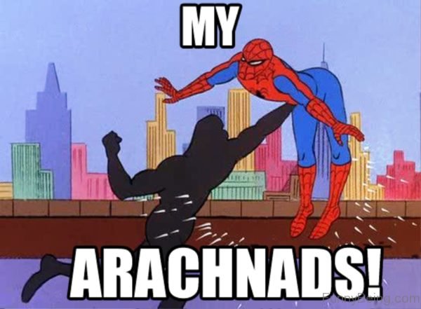 My Arachnads