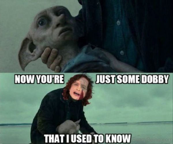 Now You're Just Some Dobby
