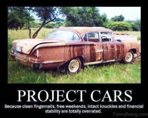 Project Cars