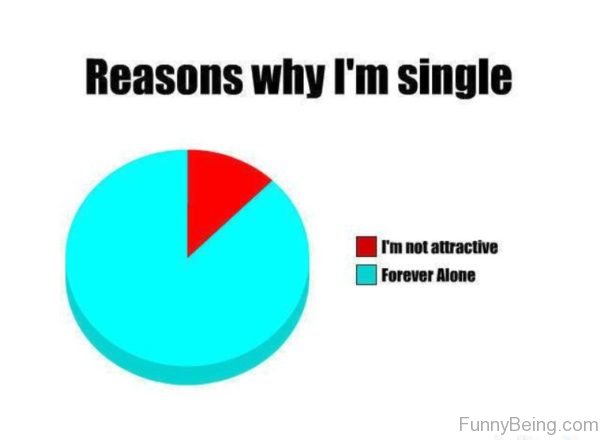 Reasons Why I'm Single