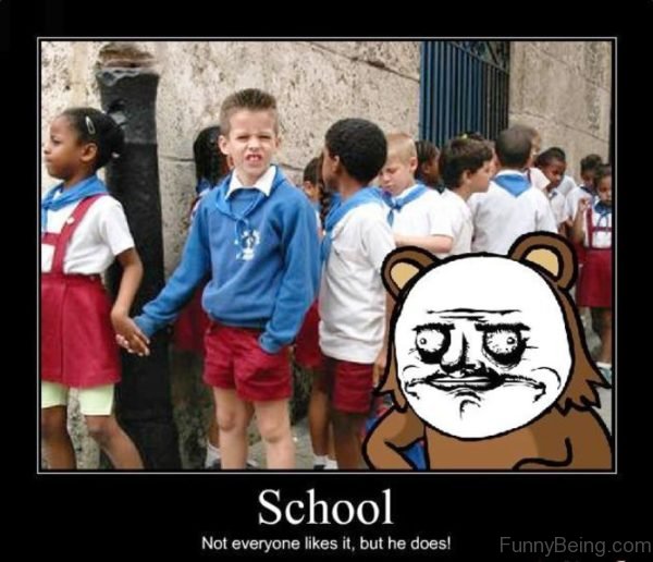 School Not Everyone Like It