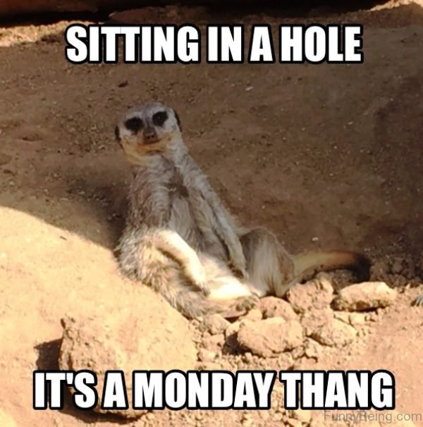 Sitting In A Hole