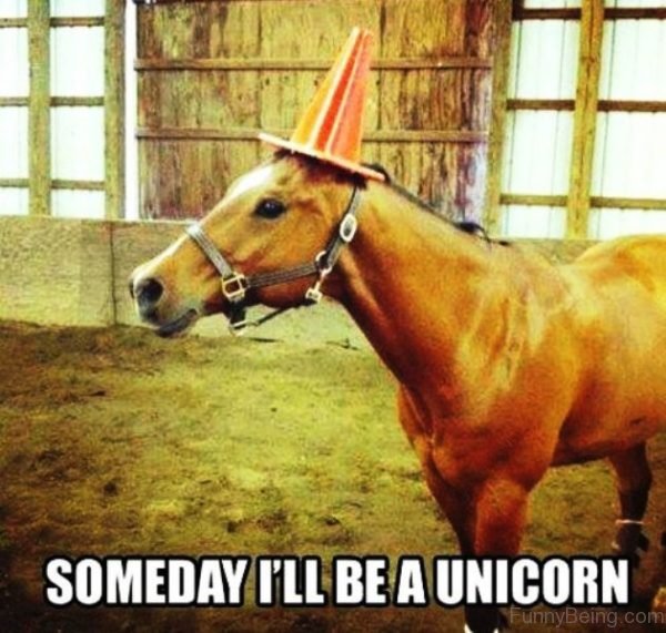 Someday I'll Be A Unicorn