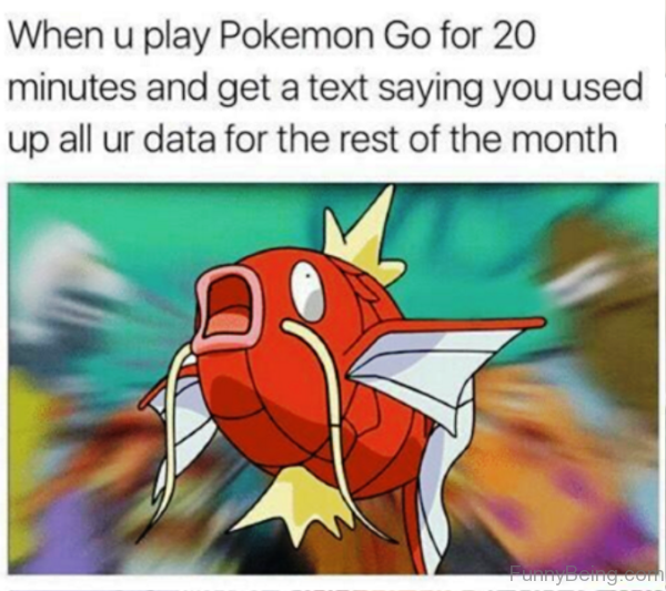 When You Play Pokemon Go