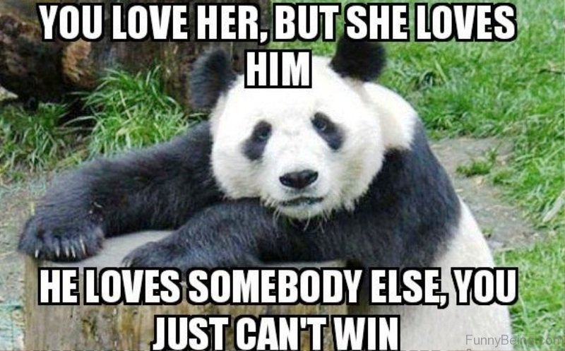 50 Funniest Love Memes