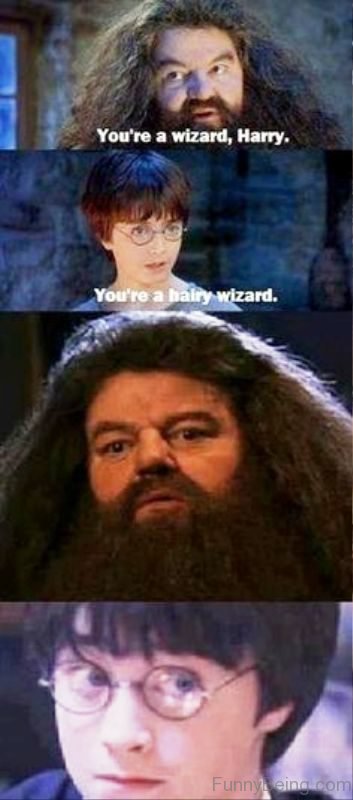You're A Wizard, Harry