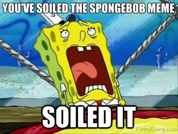 You've Soiled The Spongebob Meme