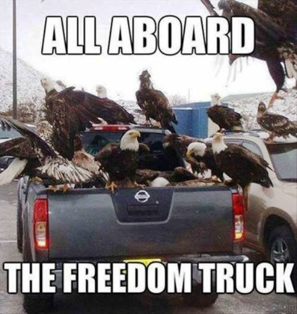 All Board The Freedom Truck