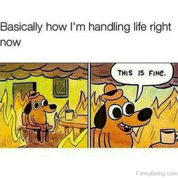 Basically How I'm Handling Life