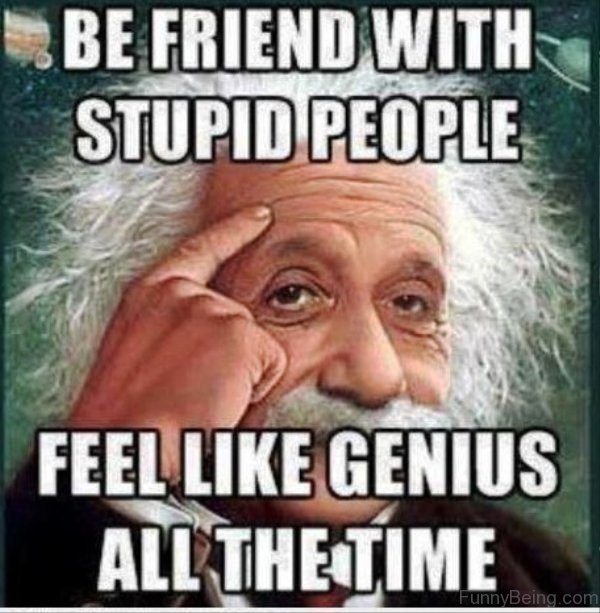 Be Friend With Stupid Person