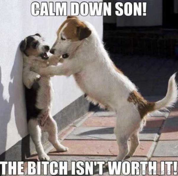 Calm Down Son