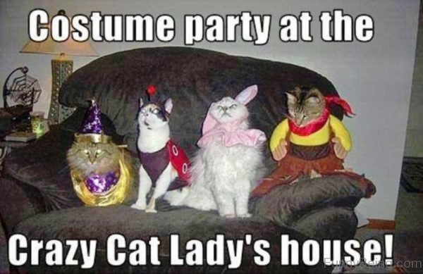 Costume Party At The Crazy Cat