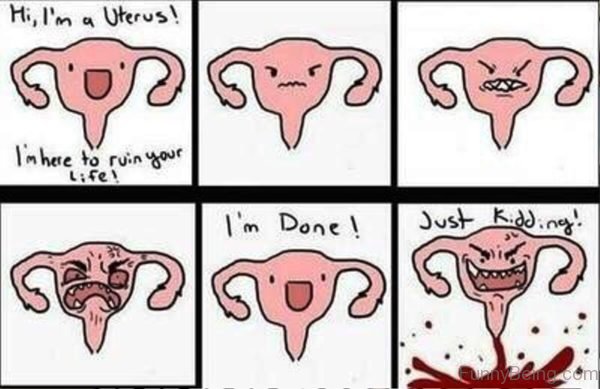 Hi I'm A Uterus