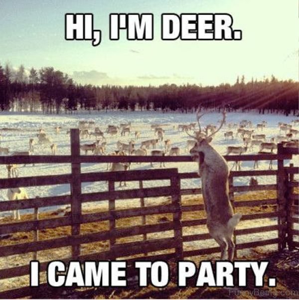 Hi I'm Deer