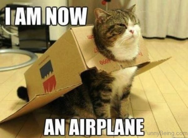 I Am Now An Airplane