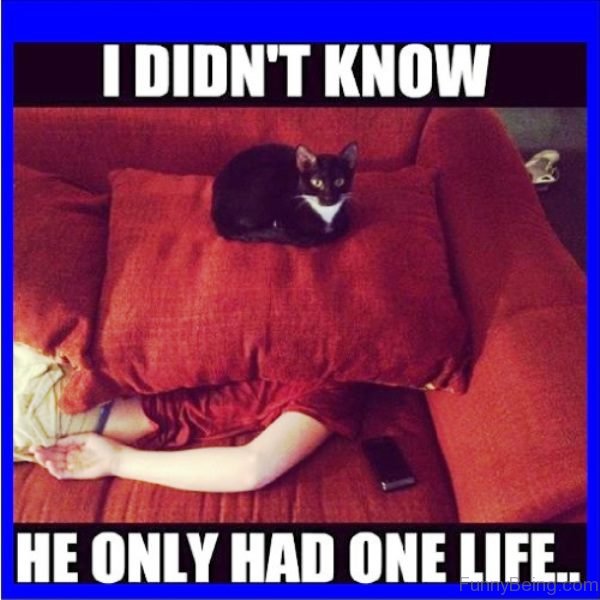 80 Most Funny Life Memes