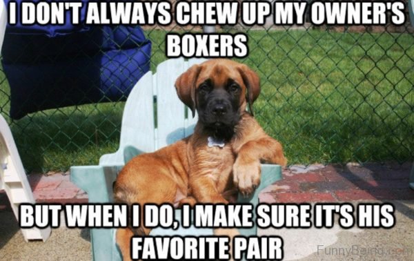 I Don't Always Chew Up