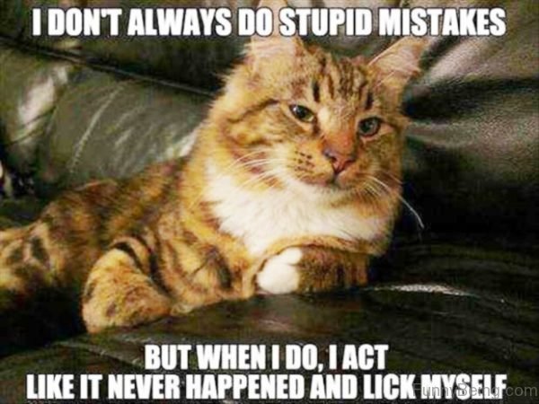 I Don't Always Do Stupid Mistakes