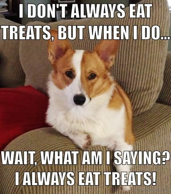 I Don't Always Eat Treats