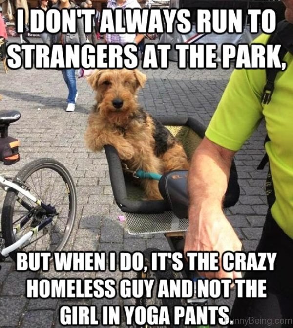 I Don't Always Run To Strangers