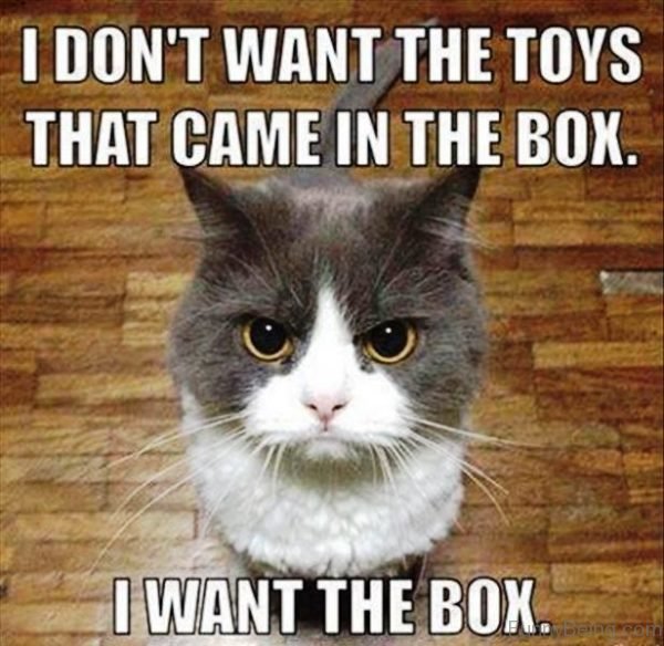 I Don't Want The Toys