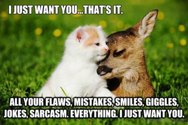 31 Most Funny Romantic Memes