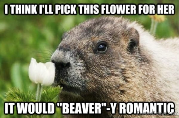 I Think I'll Pick This Flower For Her