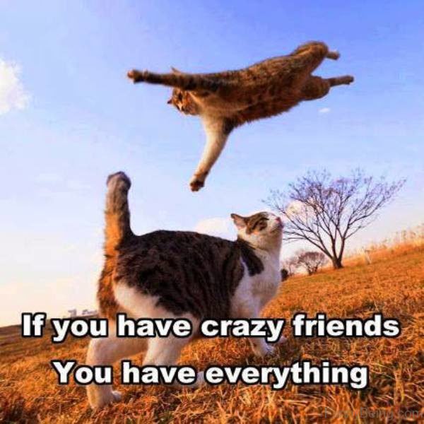 If You Have Crazy Friends